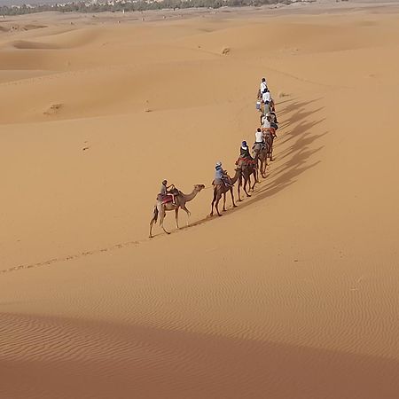 Camels House Bed & Breakfast Hassilabied Dış mekan fotoğraf